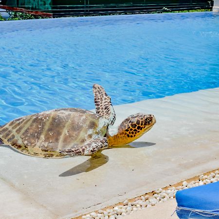 Villa Del Pescador Zihuatanejo Kültér fotó