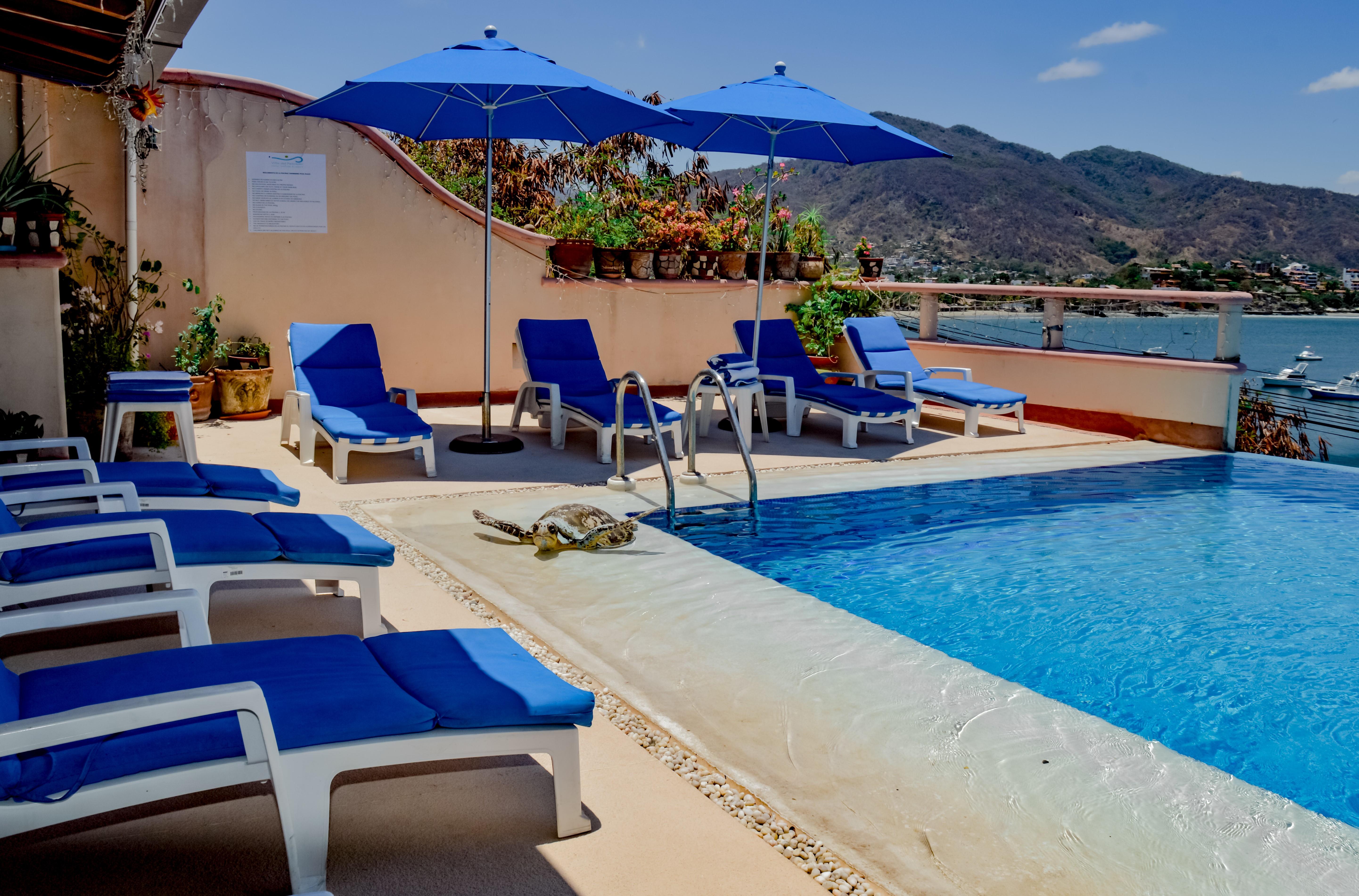 Villa Del Pescador Zihuatanejo Kültér fotó